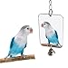 Feli546Bruce Accessoire pour Oiseaux, perroquets, perruches, perruches, Miroir, Cloche, Jouet, décoration pour Animal Domestique