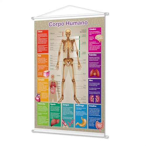 Banner Didático Infantil Pedagógico Aprendendo O Corpo Humano Crianças Escola Alunos Educação