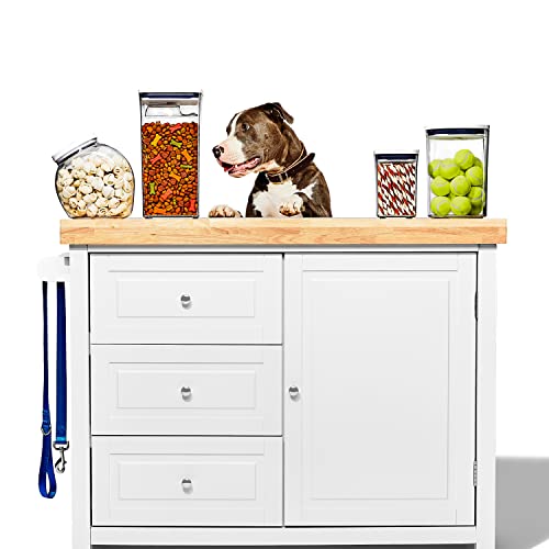 Image of OXO Good Grips Pet POP Container - 4.4 Qt /4.2 L with Scoop |Ideal for up to 4lbs of Dog Food or 3.5lbs of Cat Food, Airtight Storage Container, BPA Free