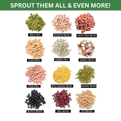 Image of Sprout Maker Glass Jar 1000ml - Wide Mouth Seed Sprouter for Mung Bean, Chana & Lentils | BPA-Free Reusable Sprouting Jar for Kitchen & Microgreens.