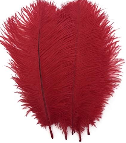 Shekyeon Red 10-12inch 25-30cm Ostrich Feather Home Decoration DIY Craft Pack of 10