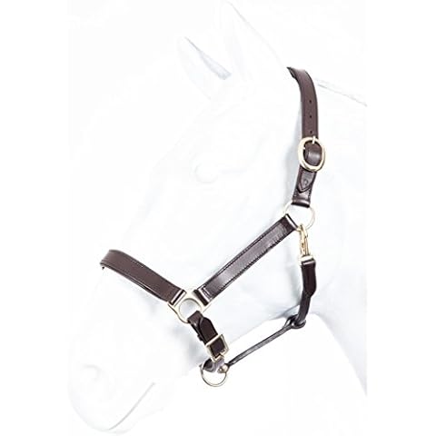 Lederhalfter ROBUST Marengos braun Shetty Cover