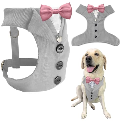 AVERYDAY �� �^�L�V�[�h �������� ���̃X�[�c �l�N�^�C �R�X�`���[�� �a���� �n���E�B�� �R�X�v�� �N���X�}�X �p�[�e�B�[ �y�b�g �t�H�[�}���E�F�A ���l�N�^�C�t�� �^�L�V�[�h ���^�� ��^�� �u���h�b�O ���u���h�[���E�n�X�L�[