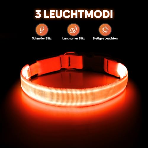 Illumifun LED Leuchthalsband für Hunde - USB-wiederaufladbar Leuchthalsband Hund, Wasserdicht & Größenverstellbar für Mittel Hunde (Orange, M)