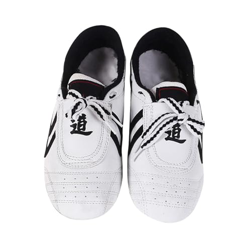 Taekwondo Shoes, Breathable Non Slip Martial Arts Shoes for Adults, Lightweight Sport Footwear for Training Practice Competition and Tai Chi