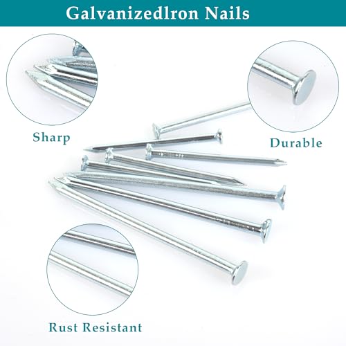 Nail for Hanging Pictures Assortment Kit - 750Pcs Small Nails, Finishing Nails, Hanging Nails, Picture Nails, Wall Nails for Hanging, Pin Nails - Image 4