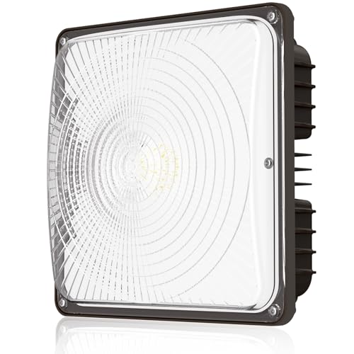CINOTON 60W LED Canopy Lights UL Listed 5600LM 5000K Daylight 1 Pack