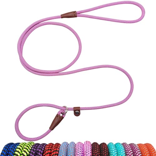 MayPaw Slip Lead Dog Leash, 5 Ft Pet/Puppy Training Leash 1/4