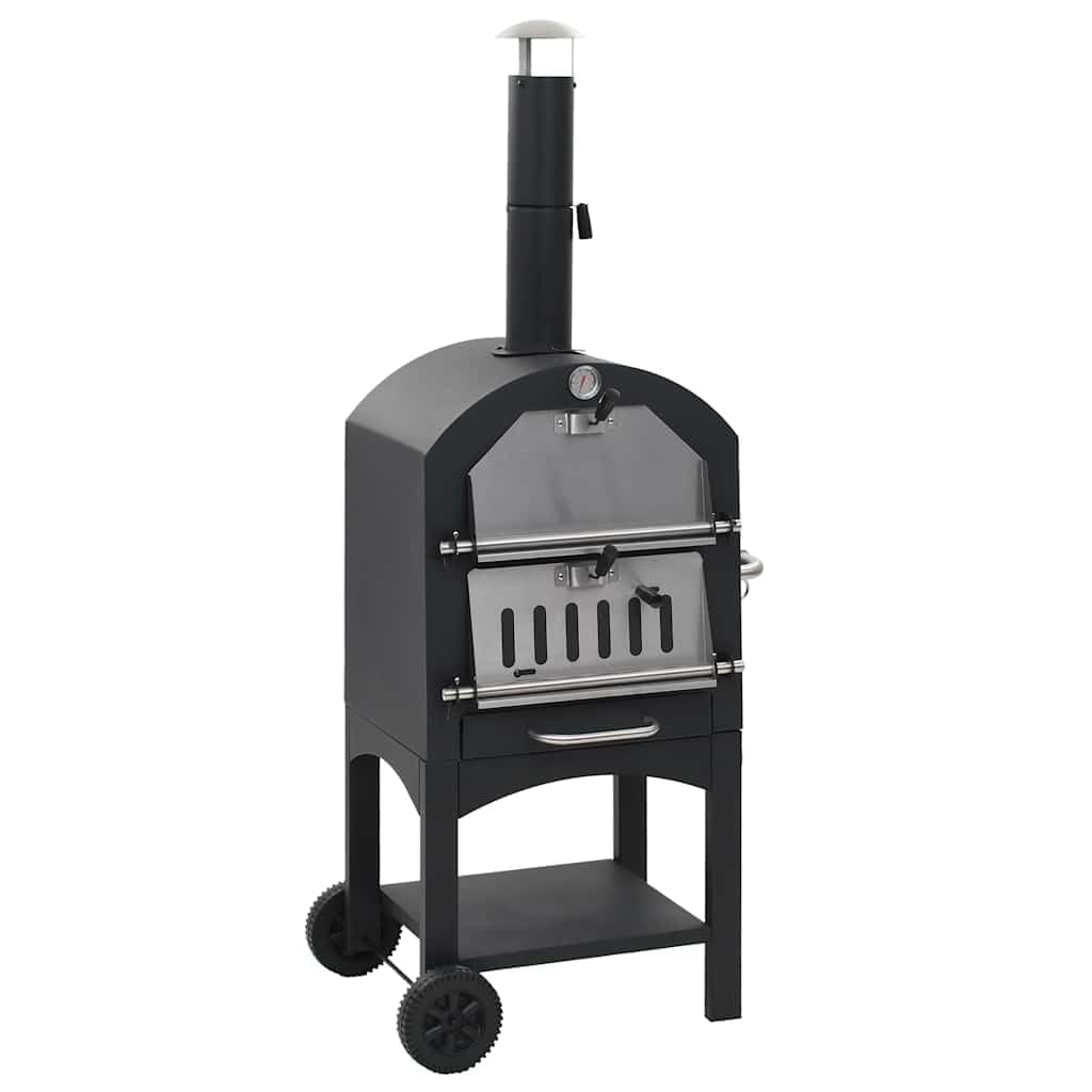 Forno Per Pizza Esterno Carbone Con Pizza Pizza