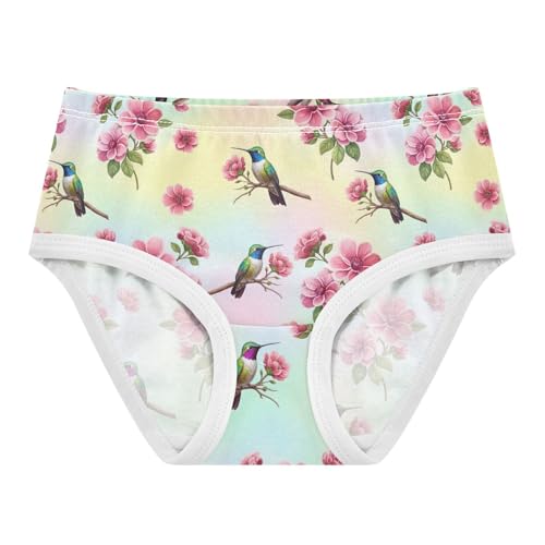 Joisal Colorful Hummingbird Pink Flowers Girls Underwear Toddler 2t Cotton Panties for Girl Fun Undies Kids Briefs