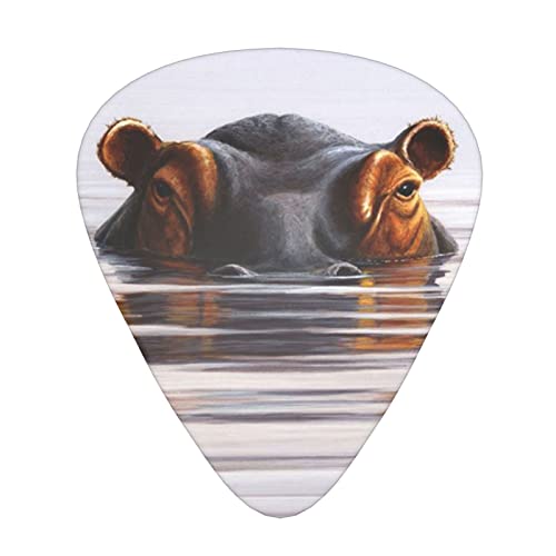 Horse Lot de 3 médiators en celluloïd coloré pour guitare basse, amateurs de musique, joueurs de guitare, guitares électriques et acoustiques 0,46 mm, 0,71 mm, 0,96 mm - Les Beatles, Paul McCartney, John Lennon, RIngo Starr, George Harrison Horse Lot de 3 médiators en celluloïd coloré pour guitare basse, amateurs de musique, joueurs de guitare, guitares électriques et acoustiques 0,46 mm, 0,71 mm, 0,96 mm