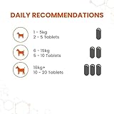Vetzyme Knoblauch Tabletten, 240 Tabletten