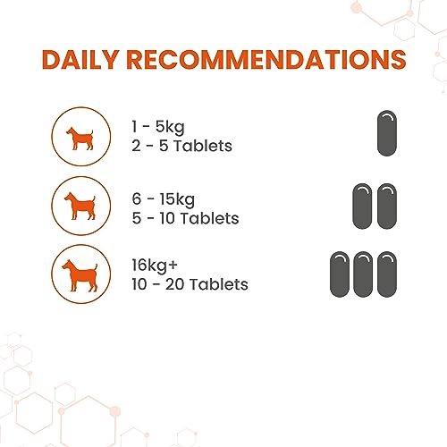 Vetzyme Knoblauch Tabletten, 240 Tabletten
