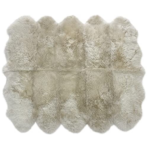 у[gO X^_[h l 10C(220×180cm)