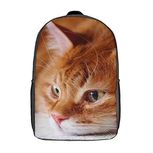 Sac à dos d'école pour garçons 17 pouces avec imprimé chat 3D