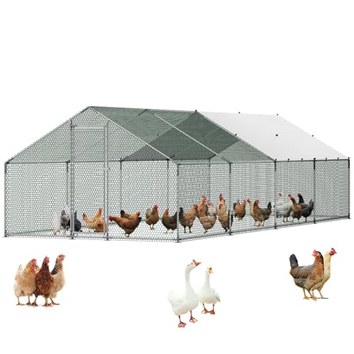 Grande cage extérieur de 3x8x2 m pour offrir un grand espace de liberté sécurisé aux volailles