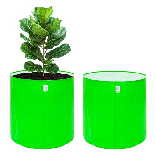 Image of Anandi Green's HDPE 24x24 Inch Pack of 2 Extra Large Grow Bag 260 GSM Round for Big Fruit Trees - Lemon, Guava, Papaya, Pomegranate, Banana | Tree Planter Pot for Terrace & Garden