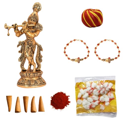 Rakhi pour frère Wonder Care : lot de 2 bracelets de Raksha Bandhan