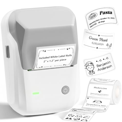 NIIMBOT B1 Etiquetadora con 1 Rollo de Papel de Etiquetas(Gris)