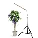 30W Floor Stand Grow Light, LED Floor Lamp with Flexible Gooseneck, Warmwhite and Red Light Spectrum for Indoor Plants, Seedling, Hydroponic, Basement Plants to Survive Winter
