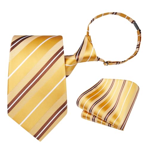 Image of HISDERN Pre Tied Ties for Men Adjustable Mens Tie Classic Paisley Stripe Necktie and Pocket Square Set for Wedding Party