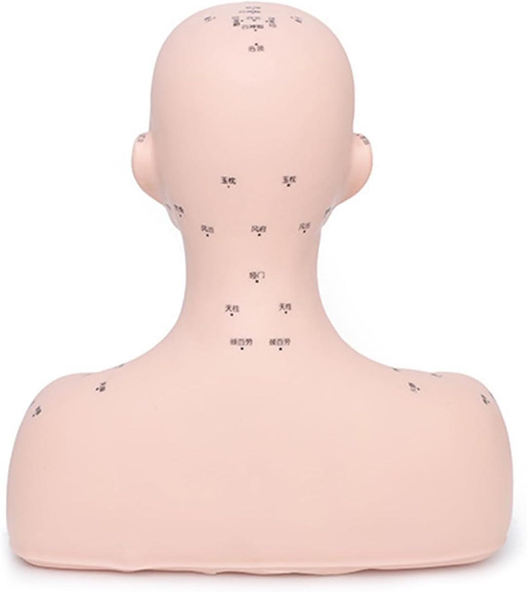PVC Skull Mannequin with Detachable Features for Facial & Hairstyling Skill Development PVC Face Practice Head