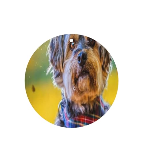 2pbN ݂艺ԗpF܃J[h - ݂艺A}Zs[J[h (x_[̍) ԁA̐QA[h[uACȂǂɍœK jZbNX(Et̗t܂)