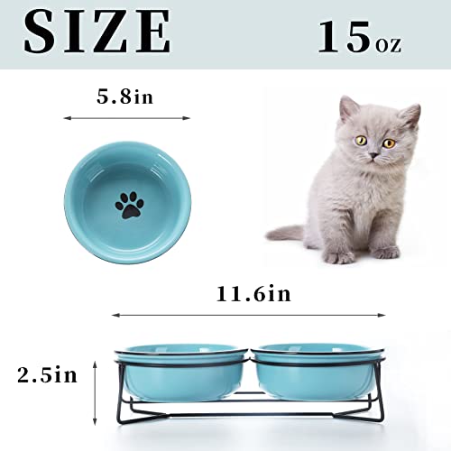 Gdcz Ceramics Raised Cat Small Dog Bowls With Heighten Metal Stand For Pet Food 15 Ounces, Turquoise #TOP1