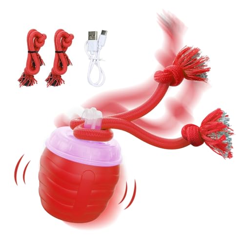 L̂ - dhQ[,] ybg {[ - ދh~ ƒ rO[ xbh[ s HANeBreB