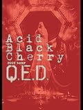 Acid Black Cherry:2009 tour “Q.E.D.”