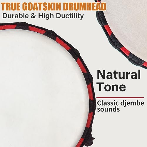 Lotmusic MI7473 African Djembe Drum, Standard 10'' Hand-Painted Mahogany Congo Drum thumb #2