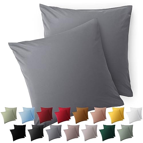 Blumtal Fundas de Almohada 60x60 cm (Juego de 2) - Fundas de cojín de Microfibra para sofá con Cierre de Sobres, Extra Suaves y Lavables, Certificado Oeko-Tex - Gris