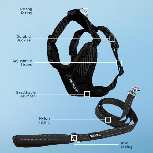 Image of Best Pet Supplies Voyager Step-in Lock Pet Harness w Reflective Pet Leash Combo Set with Neoprene Handle 5ft - Supports Small, Medium and Large Breed Puppies /Cats - Black Set, L