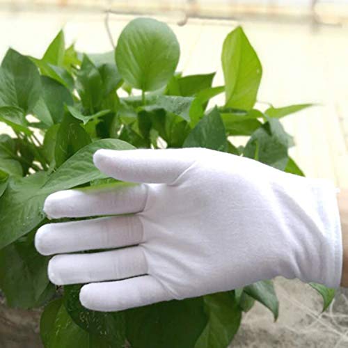 Preisvergleich Produktbild Feuchtigkeitsspendende Ekzem-Baumwollhandschuhe, mittel, 12 Paar