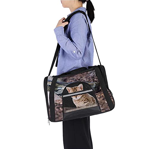 Sac de transport pour animal approuvé compagnies aériennes motif python - 7