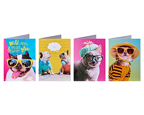 American Greetings Funny Blank Cards with Envelopes for All Occasions Dogs & Cats (48-Count) - Image 3