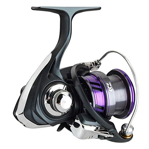 Daiwa Spinnrolle - Prorex X LT4000-C – Bild 3