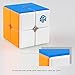 D-FantiX Gan 249 V2 2x2 Speed Cube Stickerless Gan 2x2 Magic Cube Puzzle Toy (49mm)