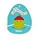 Squishmallows Original 5in Salim the Green Pickle with Beanie – Official Jazwares Plush (Little)