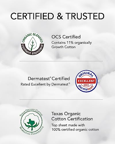 Ocbon Pantyliner Long - Ultra Thin 100% Organic Cotton Topsheet Panty Liners - Unscented, Non-Gmo, Chemical-Free (36Pcs) #TOP4