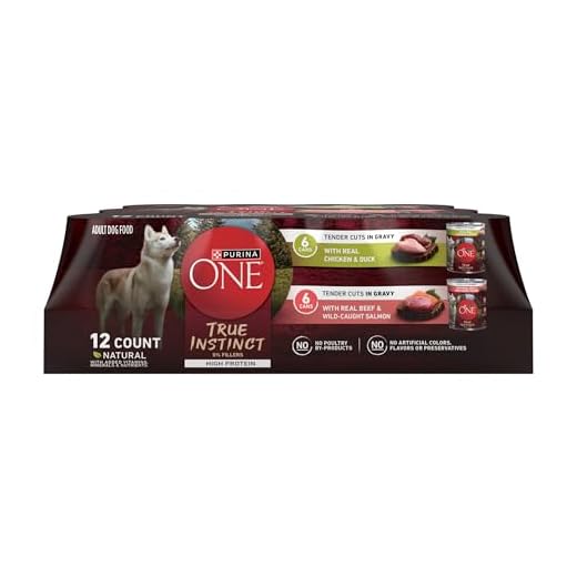 Purina ONE True Instinct Tender Cuts in Gravy with Real Chicken and Duck, with Real Beef and Salmon High Protein Wet Dog Food Variety Pack - (Pack of 1) 13 oz. Cans