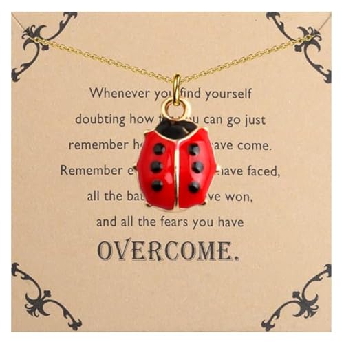 Lywjyb Birdgot Ladybug Necklace Cute Ladybug Gift Ladybird Pendant Good Luck Ladybug Gift for Women