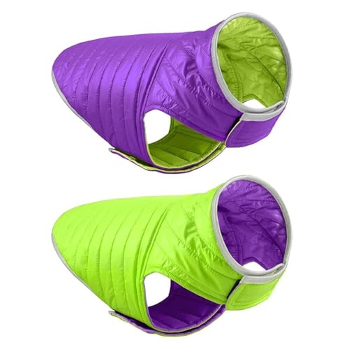 O˃o[Vu_EWPbggh~̃ybgR[gv[h`uhbOpO,C,S