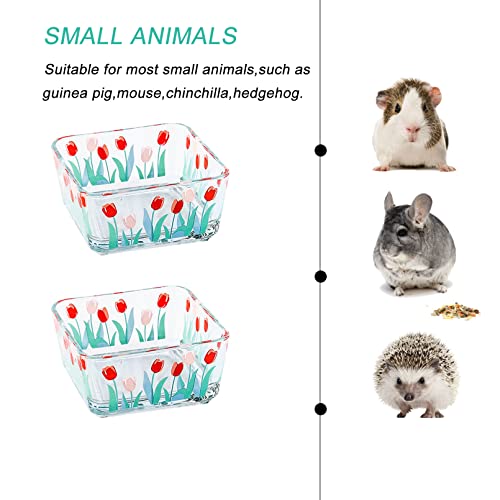 Acsist Hamster Food Bowl Small Animals Glass Water Bowl Food Dish Feeding Bowls For Guinea Pigs Gerbil Mouse Rat Chinchilla Hedgehog Sugar Glider(2 Pack,Tulip) #TOP5