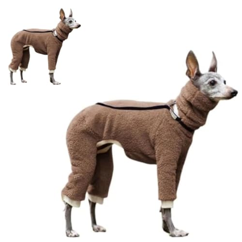 VoyageView���R�[�g �~ �^�[�g���l�b�N �E�B�y�b�g�� �C�^���A���O���[�n�E���h�� �O���[�n�E���h �x�h�����g������ �l�r �h�b�O�E�F�A �y�b�g�� ���p�h���� �g�����Z�[�^�[ ������� �ۉ� �h�� ���p�W���} �����O���p �H�~�p �t�@�b�V�������K 