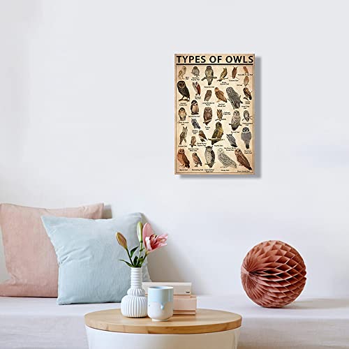 Owl Wall Art Framed Canvas Animals Posters Bird Paintings Owl Print Knowledge Poster Educational Wall Decor Vintage Animal Artwork Types Chart Framed 16X24(40X60Cm) #TOP3