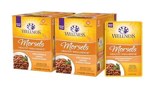 Wellness Healthy Indulgence Natural Grain Free Wet Cat Food, Morsels Chicken & Salmon, 3-Ounce Pouch (Pack of 24),Adult