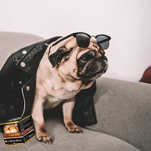 GastroBalance Hund blähungen – 60 weichen kausnacks gegen blähungen Hund 100% natürliche wirkstoffe (Bacon-Geschmack)