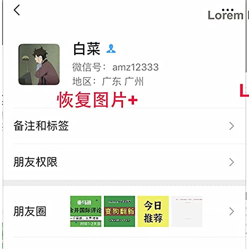 Hoover Power Path Pro Carpet Extractor Belts 440006155, 2 Pack. #TOP5