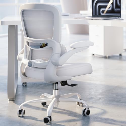 Office Chair - Ergonomic Desk Chair with Adjustable Lumbar...